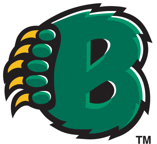 Baylor Bears 1997-2004 Alternate Logo 02 decal sticker